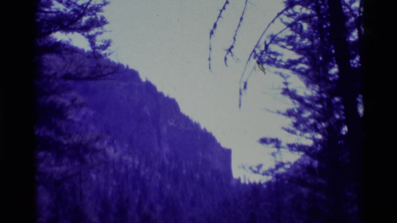 1975 Agate Springs, Montana home-movie frame showing a high forested cliff framed by dark tree trunks and branches.