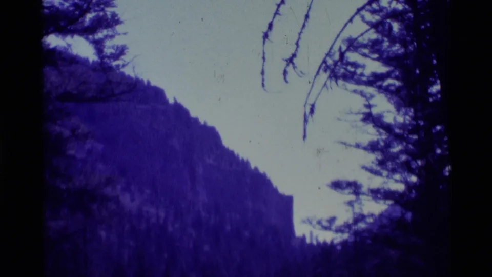 A Montana cliff face and evergreen slope appear beyond dark foreground trees in blue-purple 8mm footage from 1975.