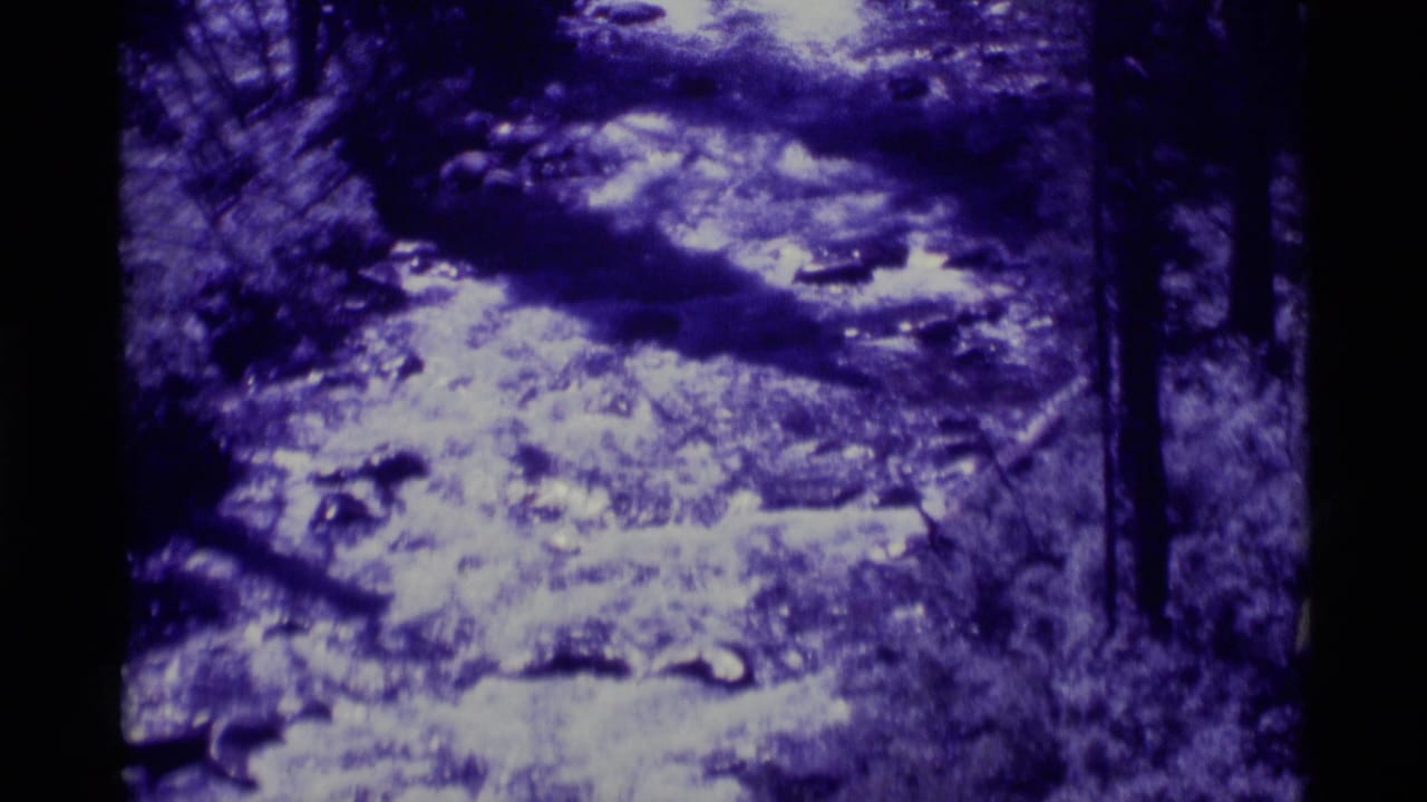 1975 8mm home-movie frame from Agate Springs, Montana, showing a blue-cast woodland trail bordered by trunks, rocks, and low brush.