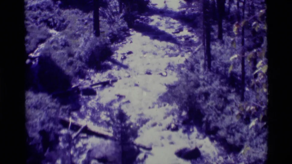 Wider 1975 8mm view of the Agate Springs woodland trail, with dense brush, dark trunks, scattered rocks, and soft focus.