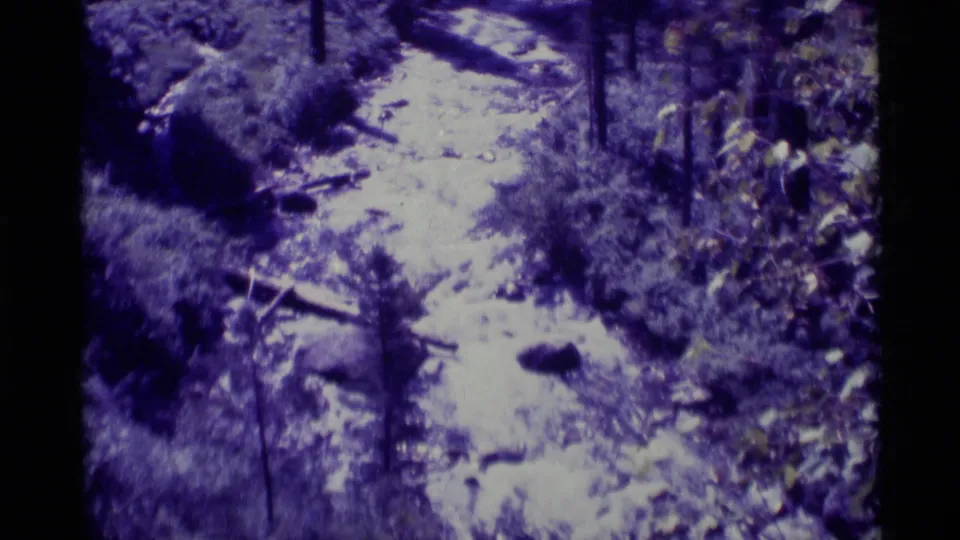 Final 1975 Agate Springs frame with the trail seen wider, bordered by brush, rocks, fallen wood, and vertical trees under a blue cast.