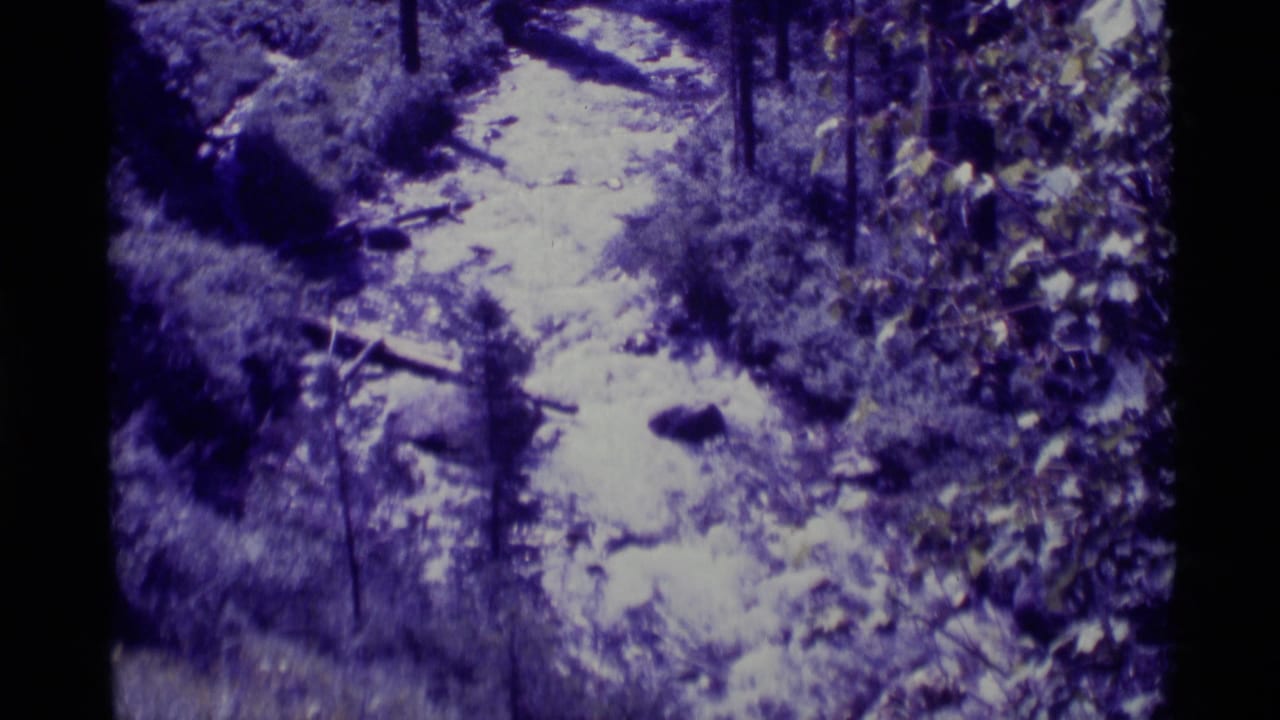1975 8mm home-movie view of a narrow forest stream in Agate Springs, Montana, with rocks, trees, and blue-purple color shift.