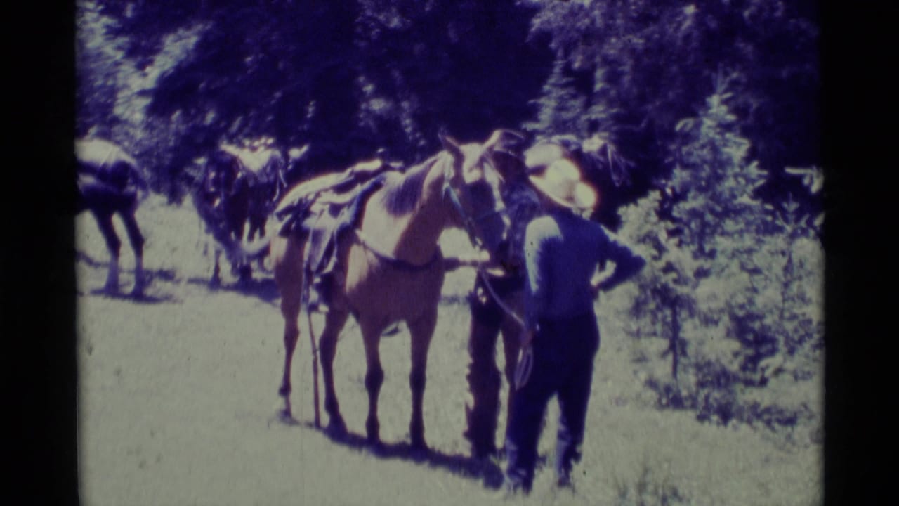 Adult man in a cowboy hat stands beside a saddled horse in a wooded clearing.