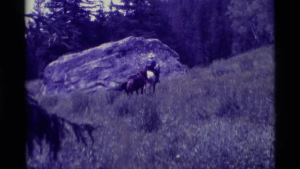 A distant horseback rider and another horse cross a purple-tinted grassy hillside in Agate Springs, Montana.