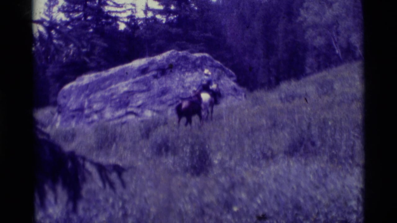 Distant rider with two horses on a grassy hillside near a large boulder.