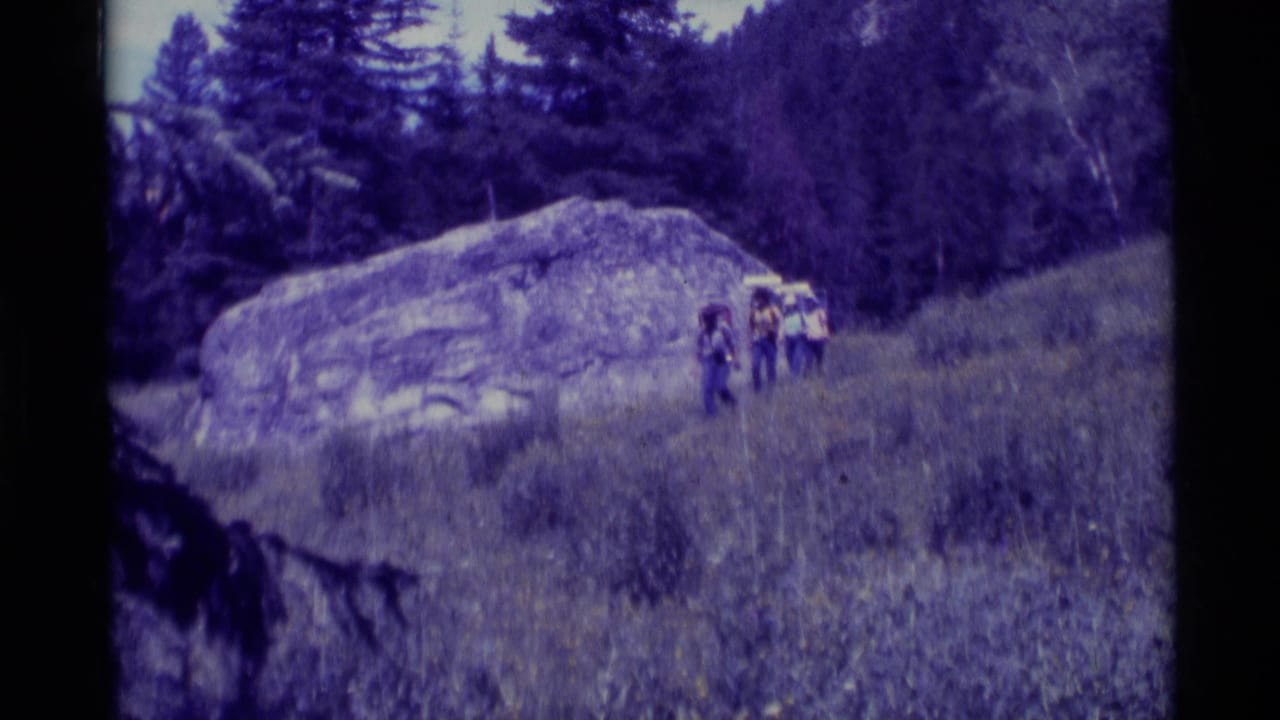 Four hikers with backpacks descend a grassy hillside near a large rock and trees.
