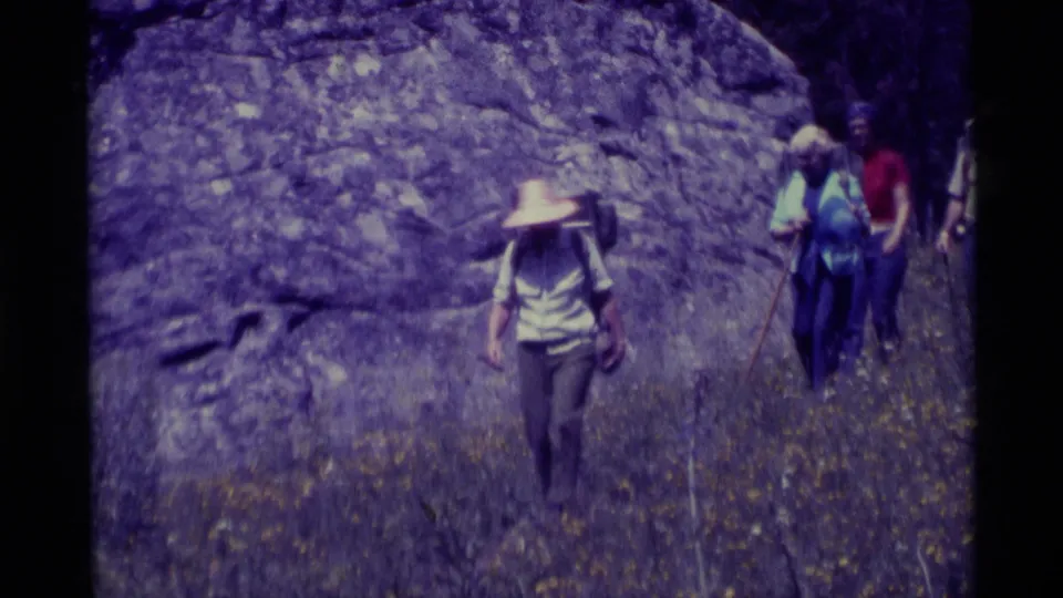Lead hiker wearing a broad brimmed hat walks past the camera as other backpackers follow in the Montana meadow.