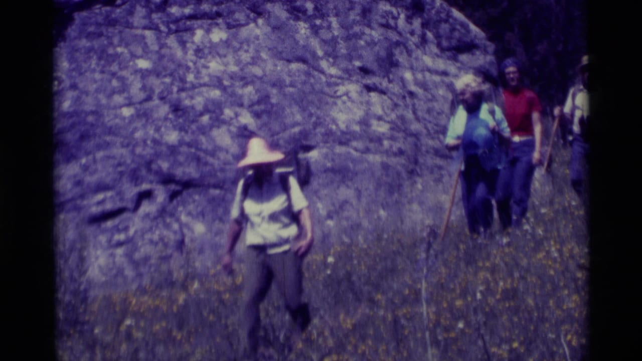 Four hikers with backpacks and walking sticks move along a grassy slope beside a rock face.