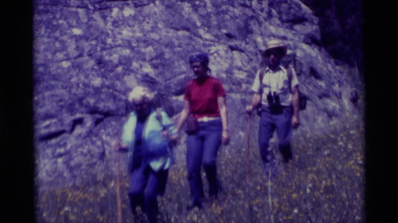 Three hikers walk down a rocky, flower-dotted hillside with walking sticks.
