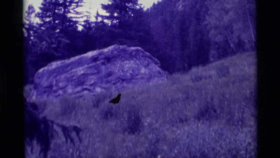 The final frame shows the Montana hillside, boulder, and trees, with only a dark partial trace of the departing horse or rider near the lower center.
