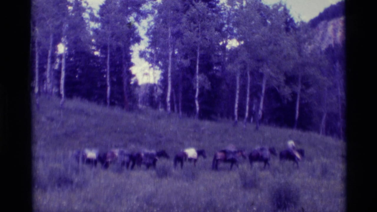 Pack horses move across a grassy hillside below tall trees and distant rocks.