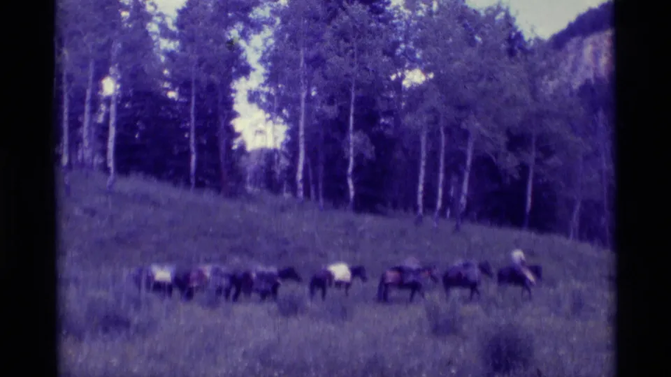 1975 Montana 8mm frame showing a line of loaded horses crossing a grassy slope near trees and rocky hills.
