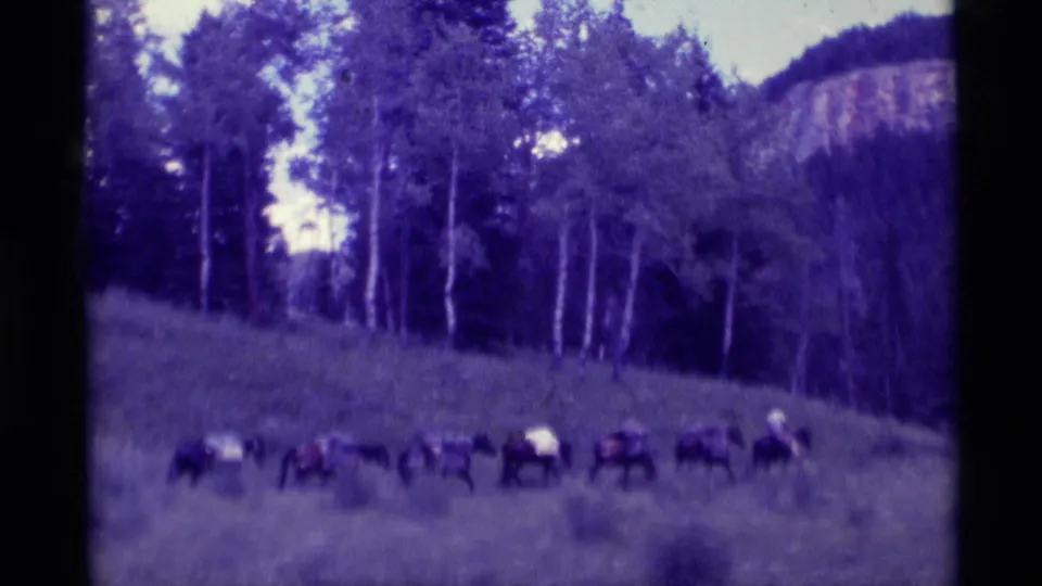 Loaded horses appear in a row on a grassy Montana hillside, with forest and a rocky backdrop in aged 8mm color.