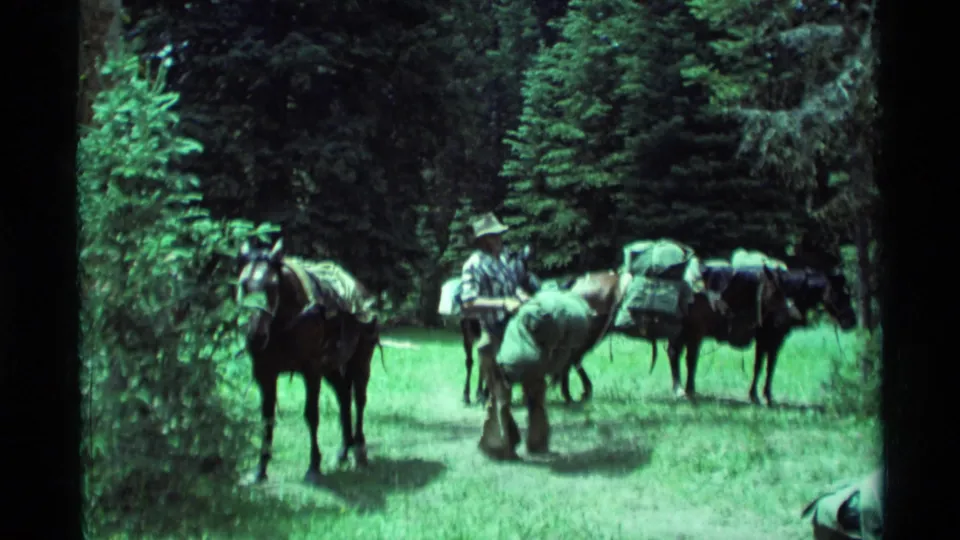 1975 home-movie frame from Montana showing handlers and pack horses paused in a green forest clearing.