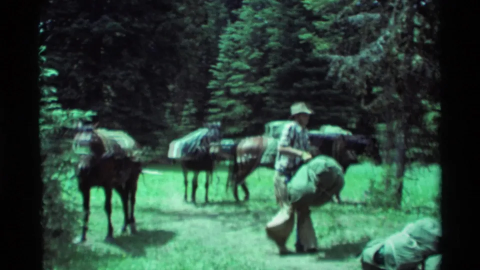 A distant handler bends near gear or the ground while pack horses stand in a Montana forest clearing on aged 8mm film.