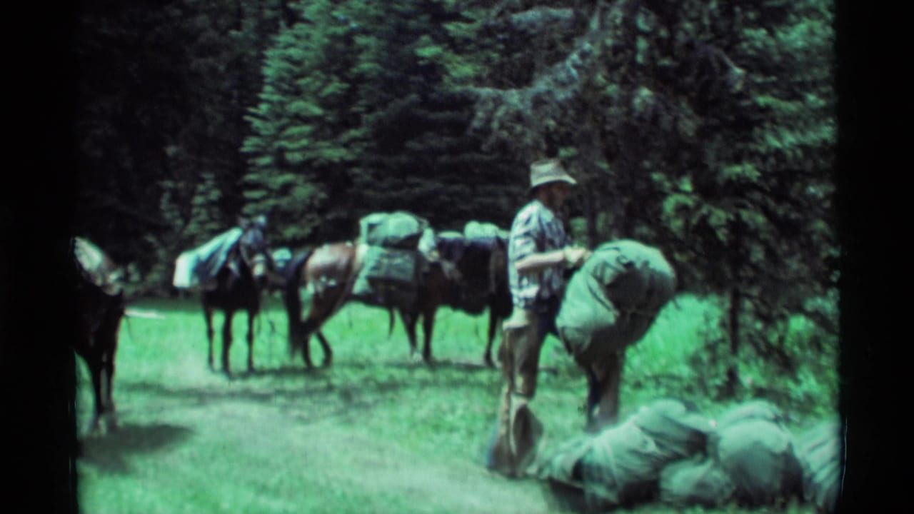 Man in plaid shirt bends near green packs beside saddled horses in a forest clearing.
