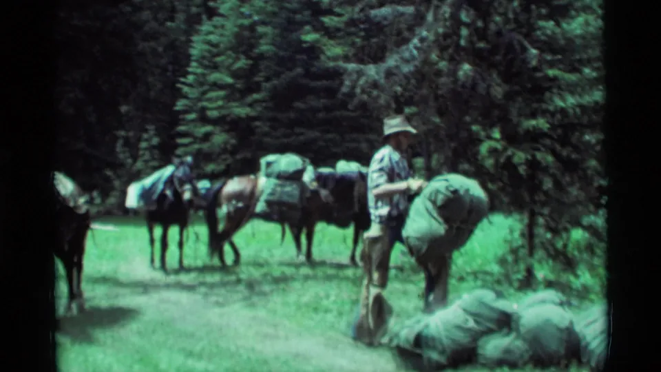 1975 Agate Springs, Montana home-movie frame showing a man handling green packs near saddled horses among pine trees.