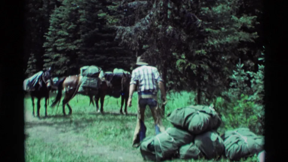 A 1975 Montana pack-trip scene with saddled horses waiting as a man stands near bundled green gear in a wooded clearing.