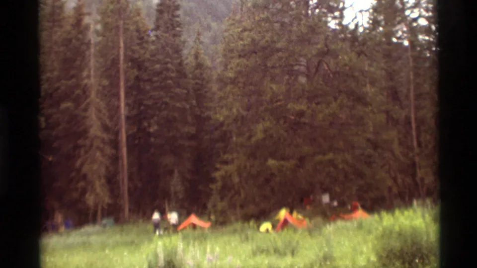 Distant campers and orange tents stand in a sunlit Montana meadow backed by dense pines and mountain forest.