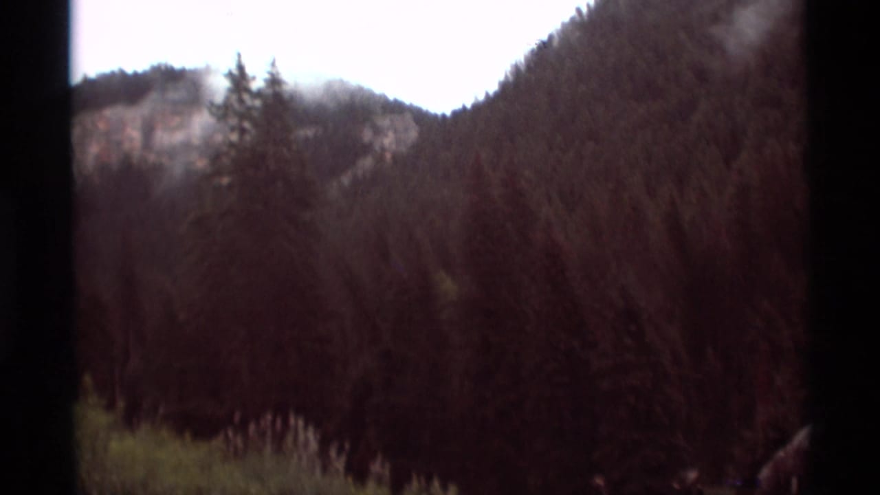 Dark forested slope and mountain ridge seen through a film frame border.
