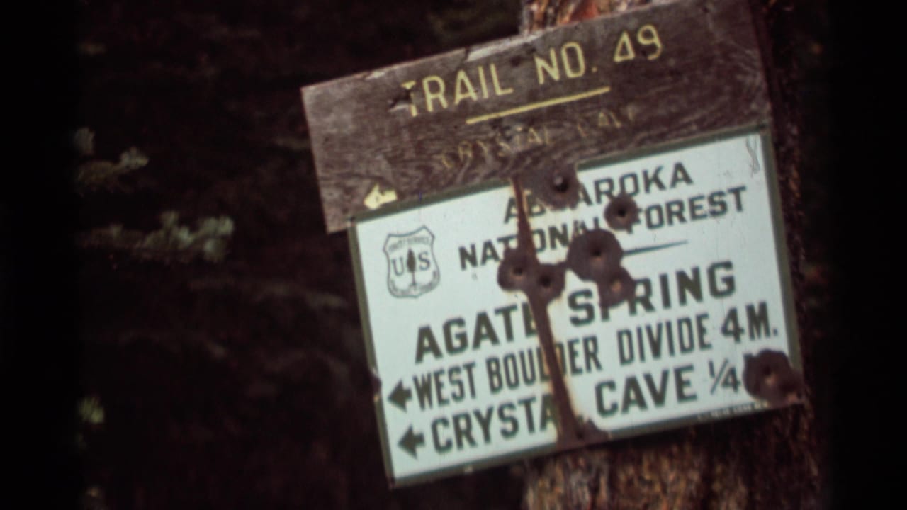 1975 Montana home-movie frame showing a weathered Absaroka National Forest trail sign mounted on a tree.