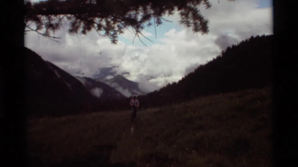 1975 Montana home-movie view of a distant hiker in a grassy valley framed by pine branches and mountains.
