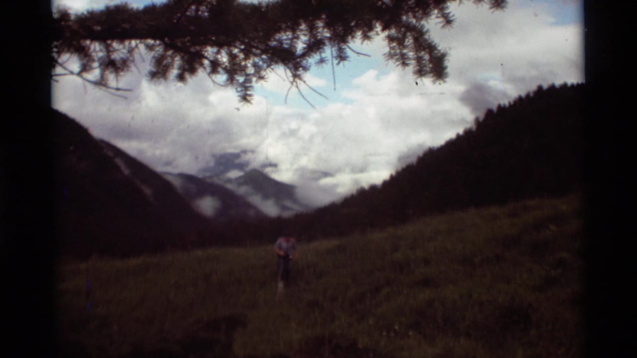 Pine branches frame a cloudy mountain valley with a small figure in a grassy meadow.