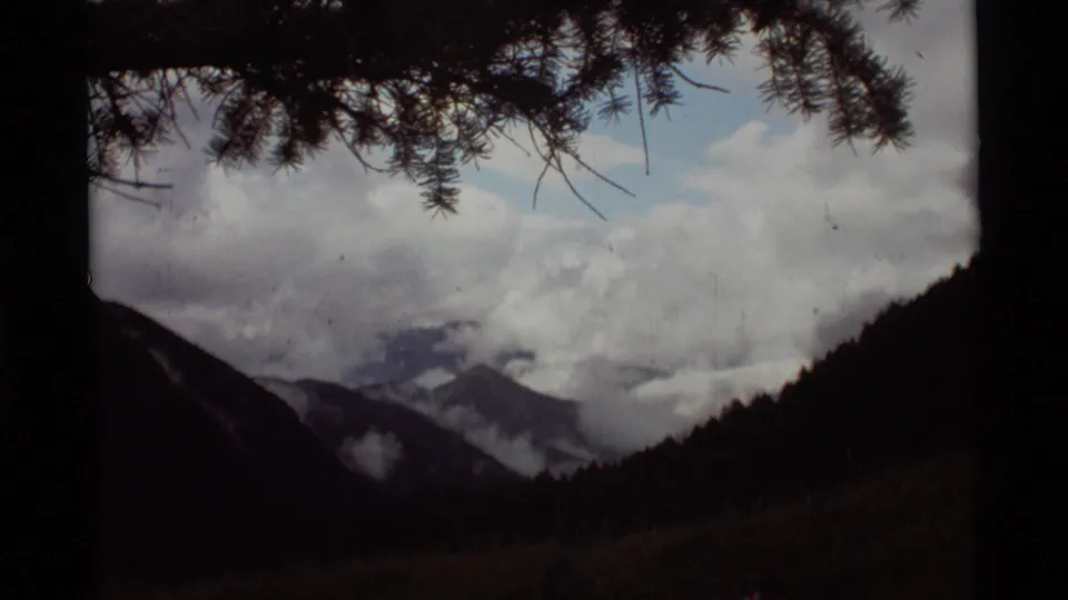 1975 Montana 8mm frame with pine branches overhead, dark forested hills, distant clouded mountains, and meadow foreground.