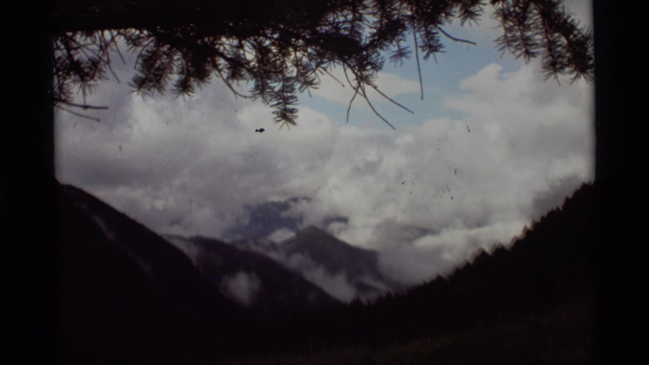 1975 8mm Montana home-movie view of cloud-covered mountains framed by pine branches above a dark forested valley.
