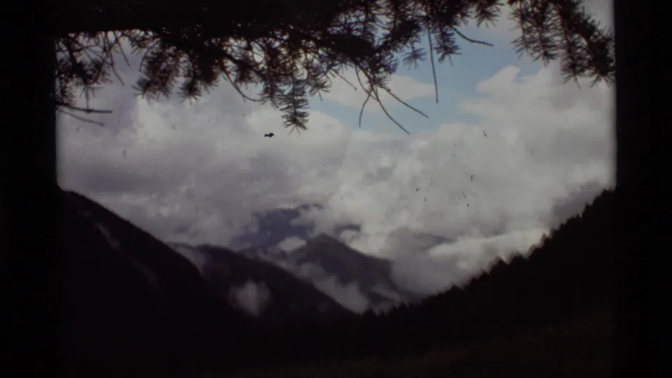1975 8mm Montana home-movie view of cloud-covered mountains framed by pine branches above a dark forested valley.