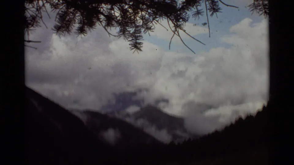 Soft 8mm frame of a Montana mountain valley in 1975, with low clouds, pine branches, and shadowed forest slopes.