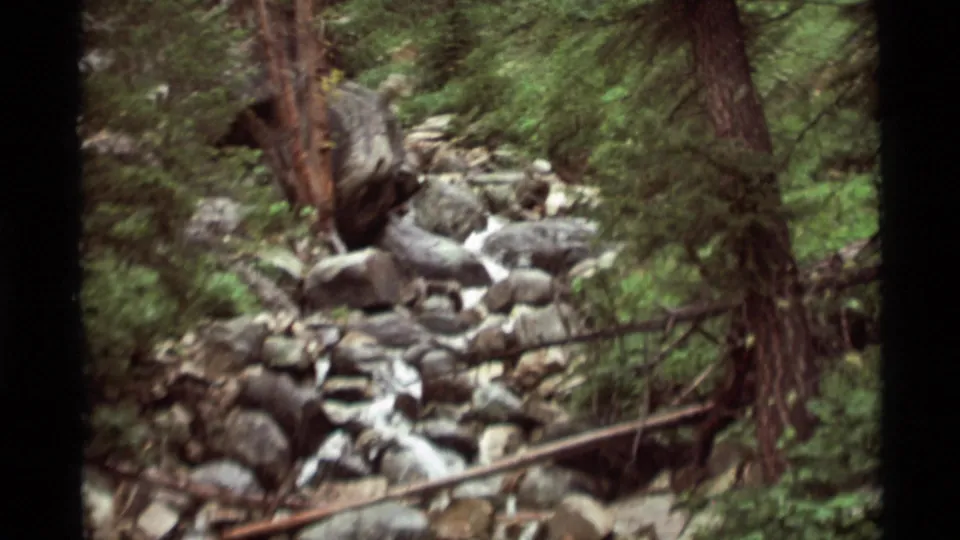 1975 8mm Montana forest scene showing a fast rocky stream running through pines and fallen wood.