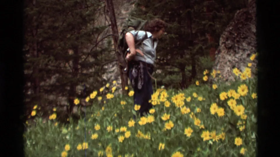 A hiker with a large backpack stands in yellow wildflowers in Agate Springs, Montana, in 1975 8mm footage.