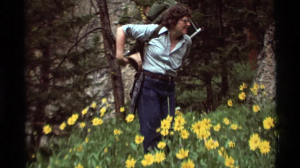A backpacked hiker moves through yellow wildflowers in a forested Montana setting, filmed on 8mm in 1975.