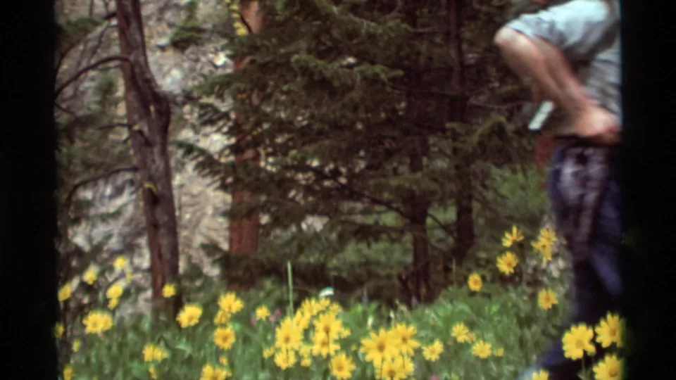The woman hiker passes partly out of frame in the Agate Springs meadow, with yellow flowers and trees remaining in view.