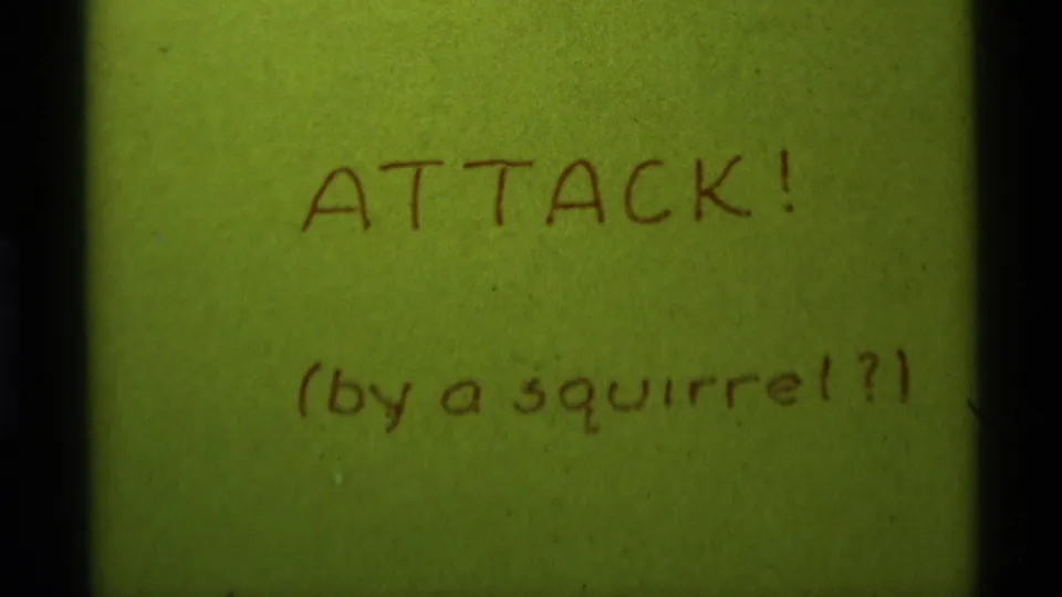 Final 8mm frame repeats the green handwritten title card, ending the clip with a comic mystery note.