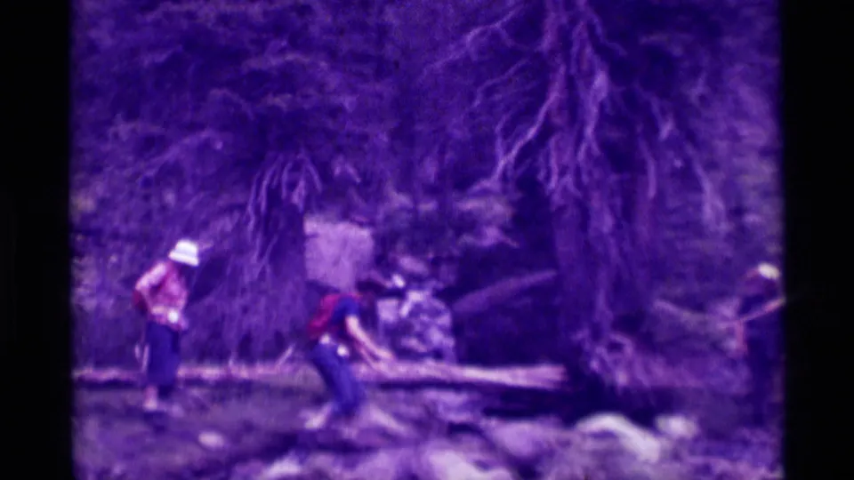 A soft, purple-cast 8mm frame shows two people near a fallen log in the Agate Springs forest stream setting.