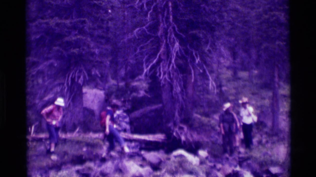 Four hikers stand and move near a fallen log on a rocky forest trail.
