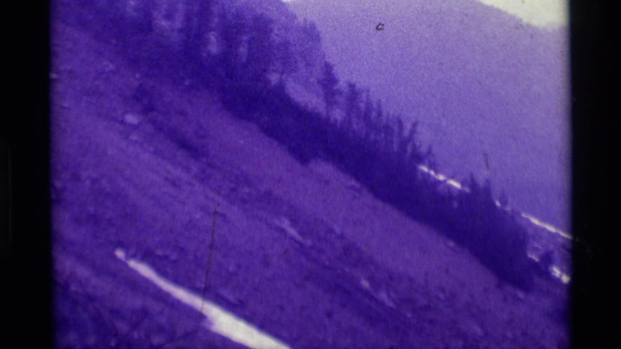 Purple-tinted mountain slope with conifer trees, snow patches, and hazy ridges.