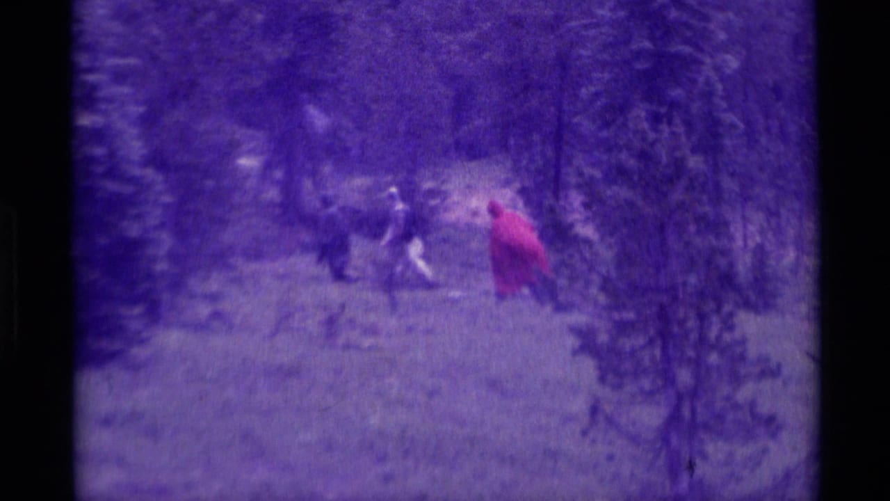 Distant hikers cross a meadow near evergreen trees, with one person in a red raincoat.