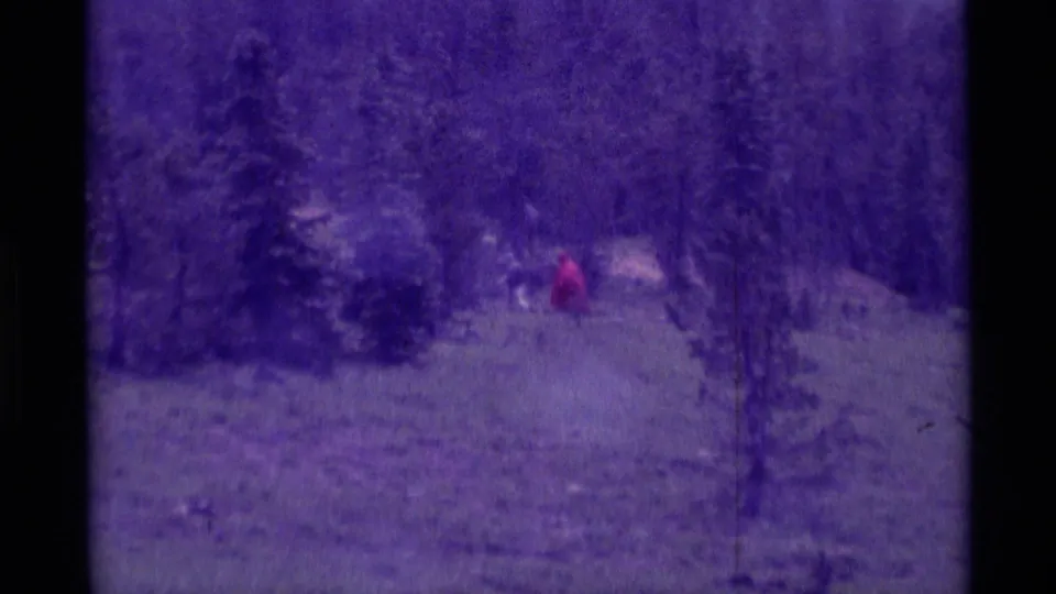 Distant hikers in Agate Springs, Montana, move across a purple-shifted alpine meadow with scattered evergreens.