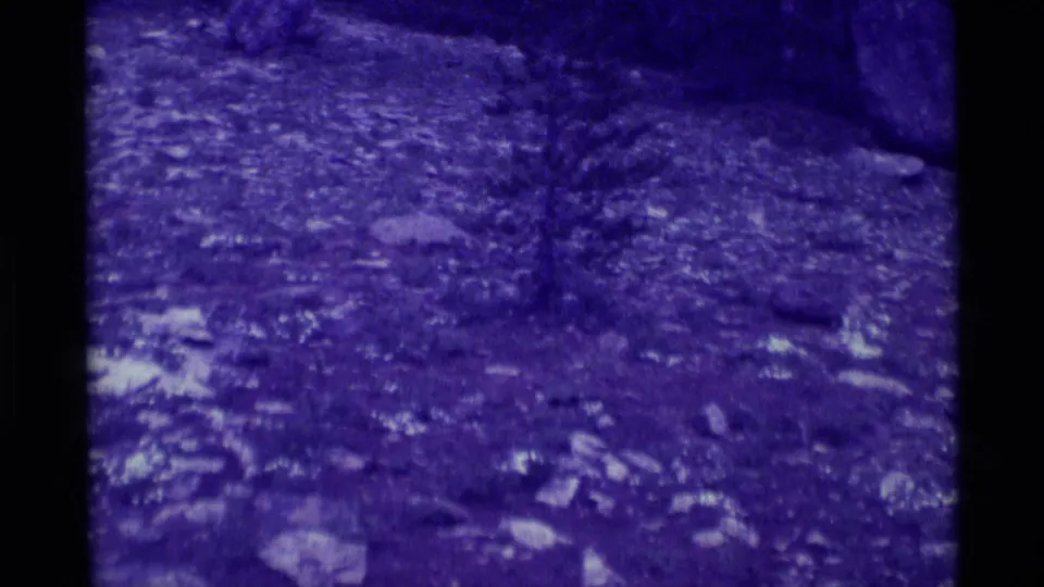1975 Agate Springs 8mm still with a small tree, uneven rocky soil, and sparse ground cover in a heavily blue-tinted frame.