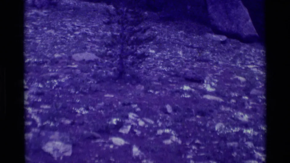 Blue-tinted 1975 8mm frame in Agate Springs showing a small tree on rocky terrain with larger rocks near the upper edge.