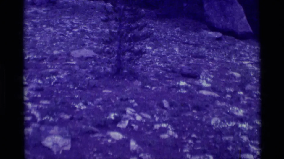 Agate Springs 1975 home-movie frame showing the same small tree and rocky forest floor in a soft, blue-tinted 8mm image.
