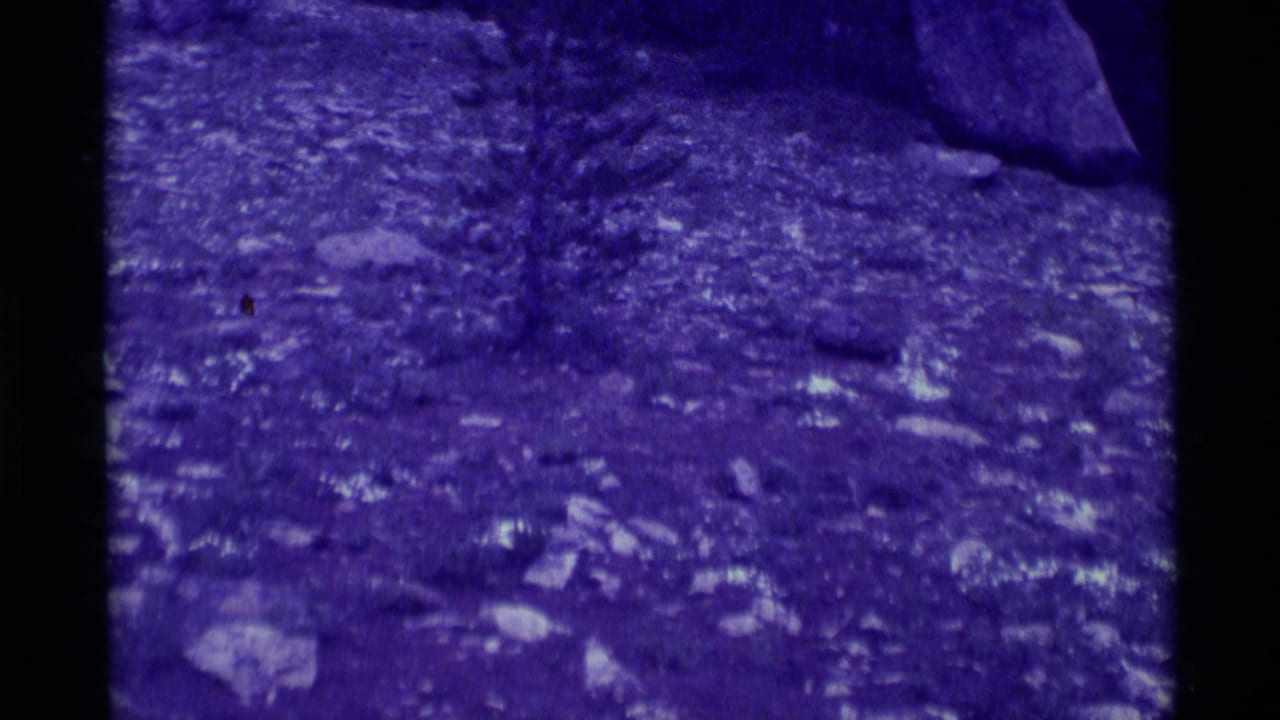 1975 8mm frame from Agate Springs, Montana, showing rocky forest ground with leaves, soft focus, and a strong purple cast.