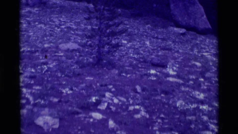 1975 8mm frame from Agate Springs, Montana, showing rocky forest ground with leaves, soft focus, and a strong purple cast.