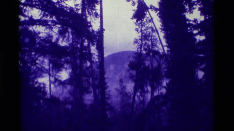 1975 Agate Springs, Montana 8mm frame showing dark evergreen forest silhouettes with a hazy mountain beyond.