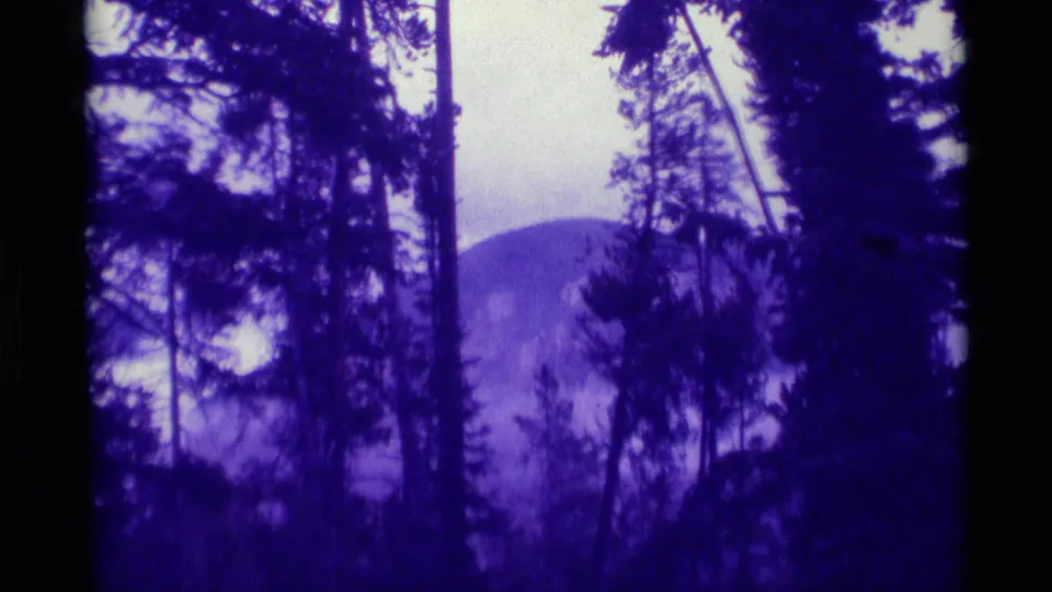 Static 8mm view of shadowed evergreens and a distant mountain slope in Agate Springs, Montana, with strong purple tint.