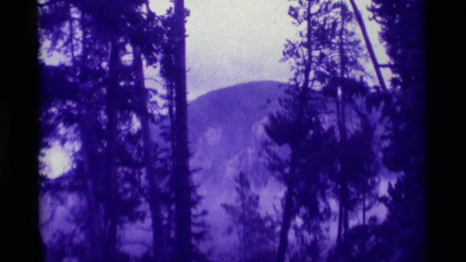 1975 Montana home-movie frame with dark evergreen trunks and brush layered over a hazy mountain background.