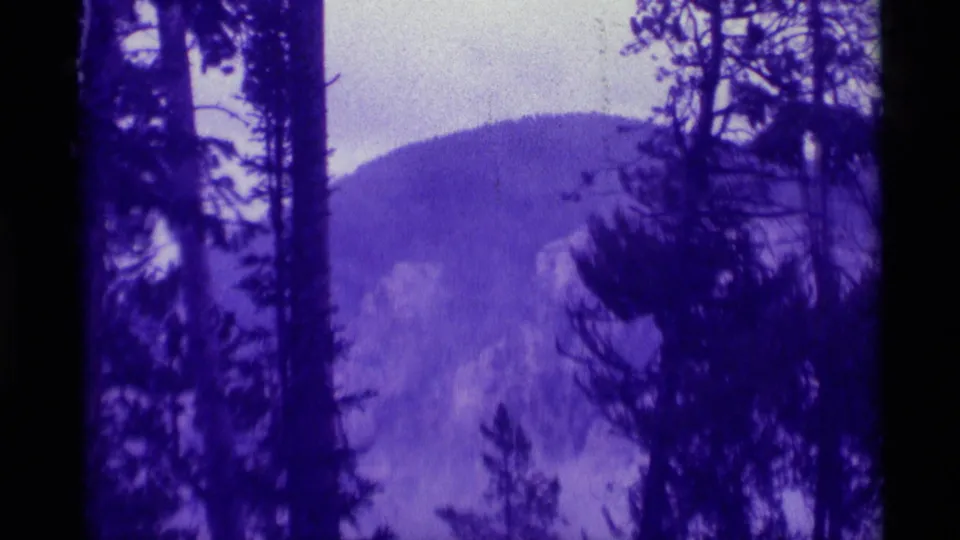 Agate Springs, Montana 8mm frame showing a rounded mountain behind silhouetted evergreen branches and a dark trunk.